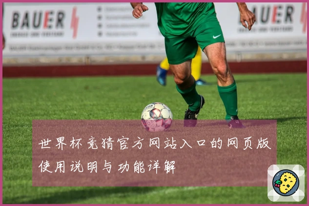 世界杯竞猜官方网站入口的网页版使用说明与功能详解