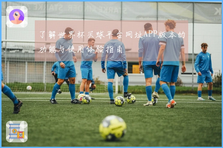 了解世界杯买球平台网址APP版本的功能与使用体验指南