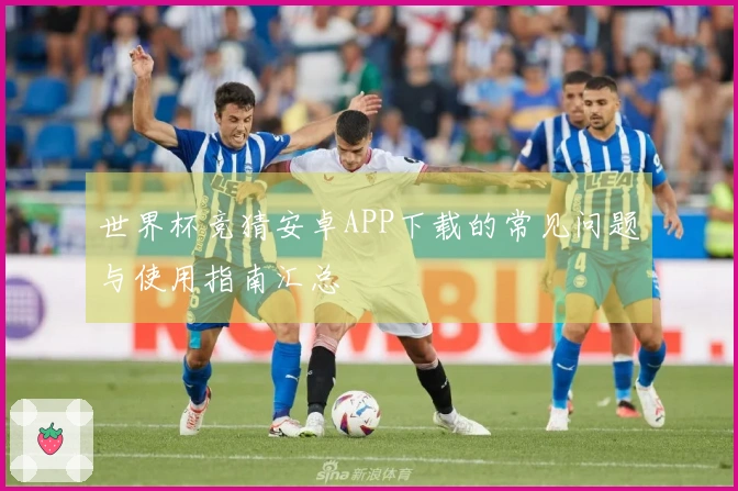 世界杯竞猜安卓APP下载的常见问题与使用指南汇总