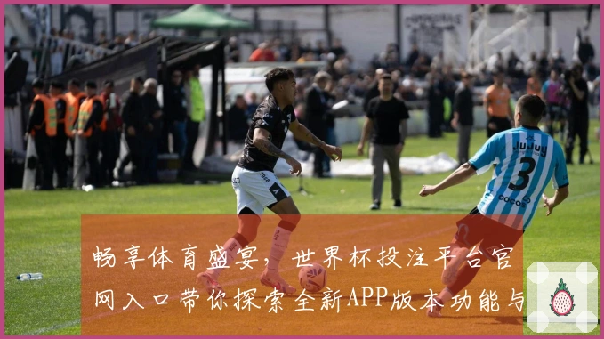 畅享体育盛宴，世界杯投注平台官网入口带你探索全新APP版本功能与使用体验