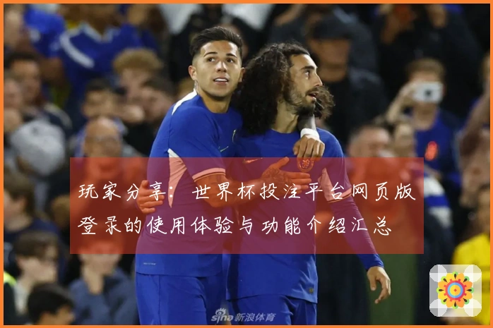 玩家分享：世界杯投注平台网页版登录的使用体验与功能介绍汇总