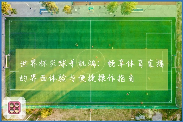 世界杯买球手机端：畅享体育直播的界面体验与便捷操作指南