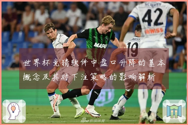 世界杯竞猜软件中盘口升降的基本概念及其对下注策略的影响解析