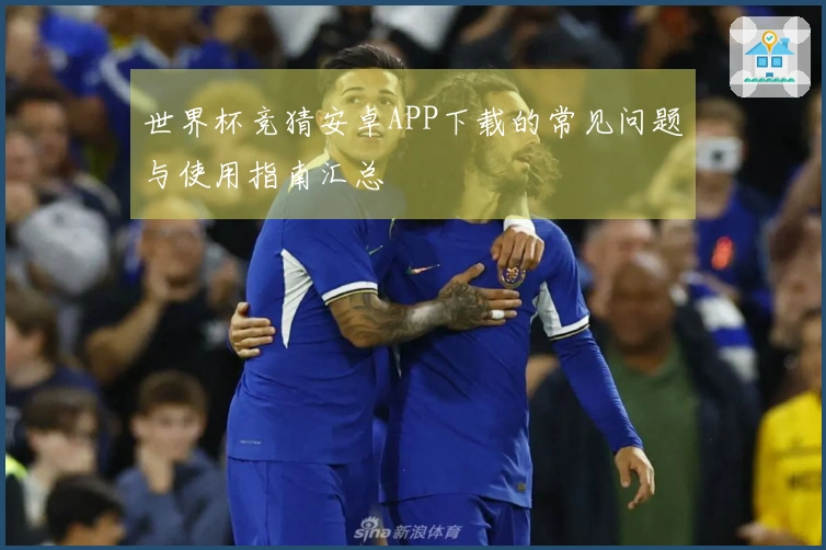 世界杯竞猜安卓APP下载的常见问题与使用指南汇总