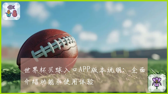 世界杯买球入口APP版本说明：全面介绍功能和使用体验