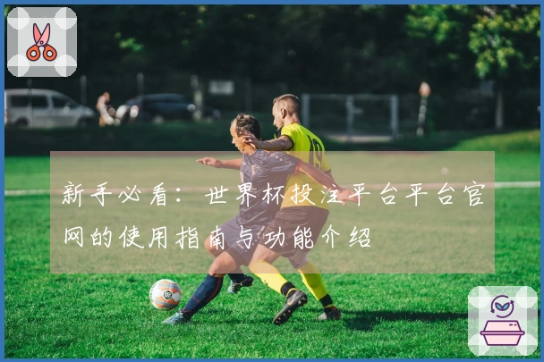 新手必看：世界杯投注平台平台官网的使用指南与功能介绍
