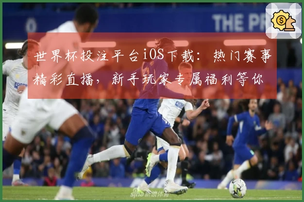 世界杯投注平台iOS下载：热门赛事精彩直播，新手玩家专属福利等你领取！