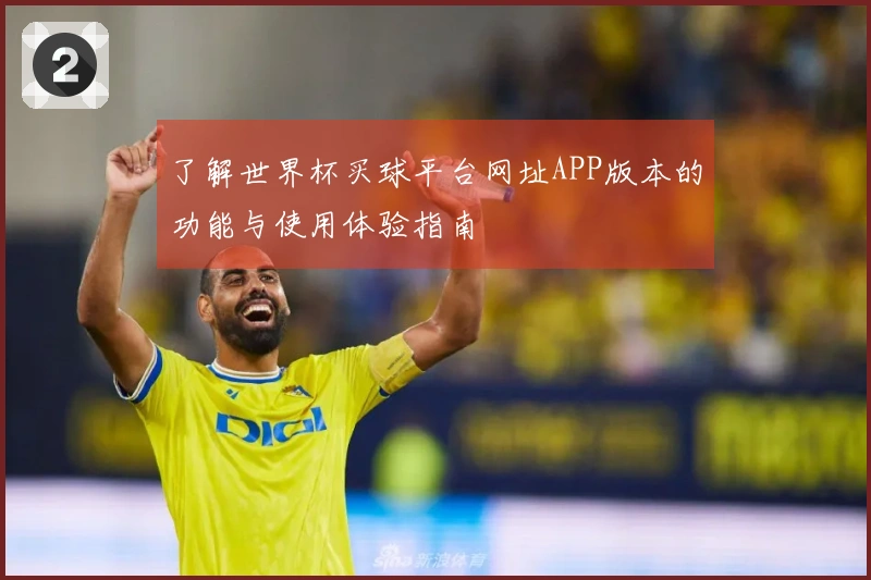 了解世界杯买球平台网址APP版本的功能与使用体验指南