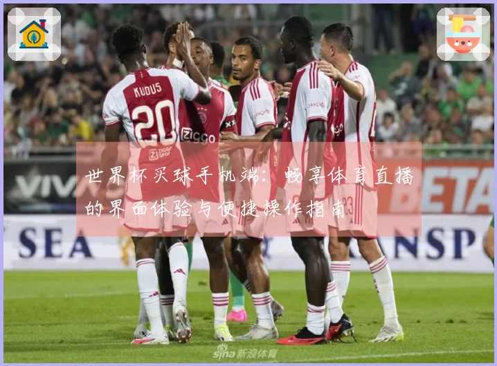 世界杯买球手机端：畅享体育直播的界面体验与便捷操作指南