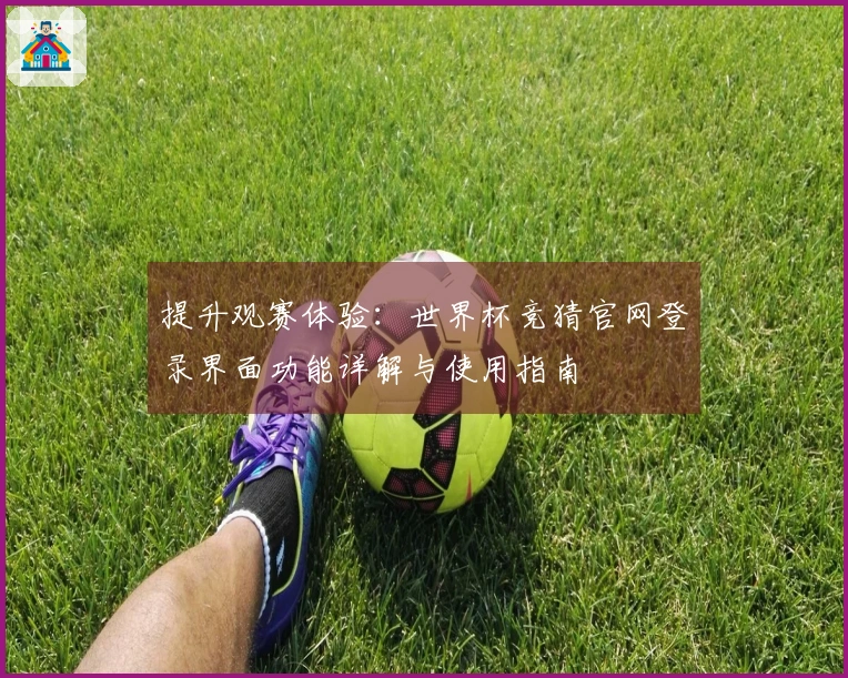 提升观赛体验：世界杯竞猜官网登录界面功能详解与使用指南