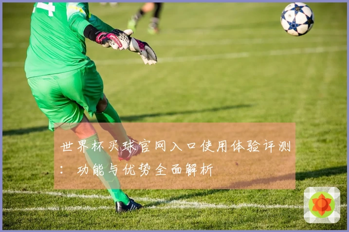 世界杯买球官网入口使用体验评测：功能与优势全面解析
